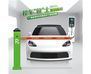 乐陵RG-CW系列车位小道闸